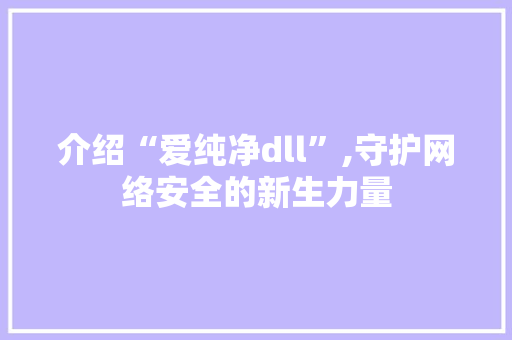 介绍“爱纯净dll”,守护网络安全的新生力量