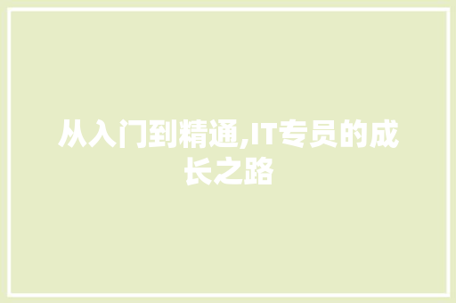 从入门到精通,IT专员的成长之路