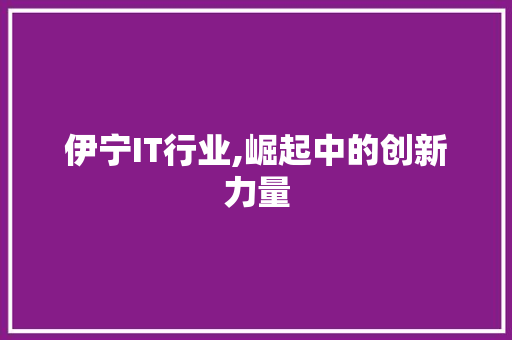 伊宁IT行业,崛起中的创新力量 网站优化