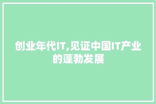 创业年代IT,见证中国IT产业的蓬勃发展