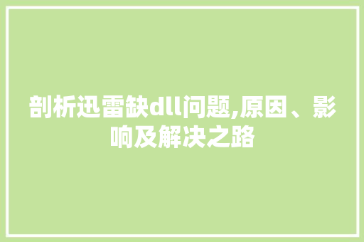剖析迅雷缺dll问题,原因、影响及解决之路