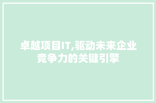 卓越项目IT,驱动未来企业竞争力的关键引擎