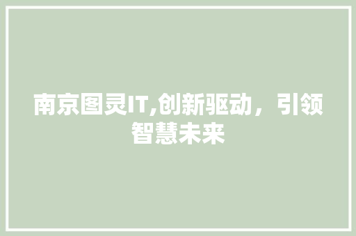 南京图灵IT,创新驱动，引领智慧未来