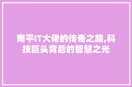 南平IT大佬的传奇之路,科技巨头背后的智慧之光