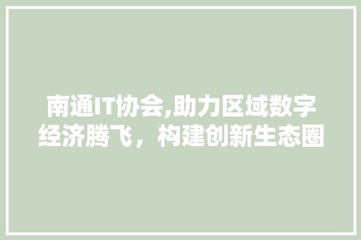 南通IT协会,助力区域数字经济腾飞，构建创新生态圈