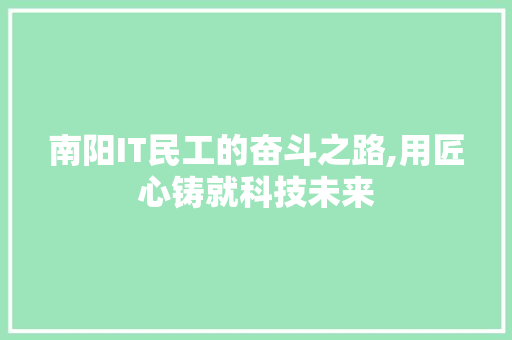 南阳IT民工的奋斗之路,用匠心铸就科技未来