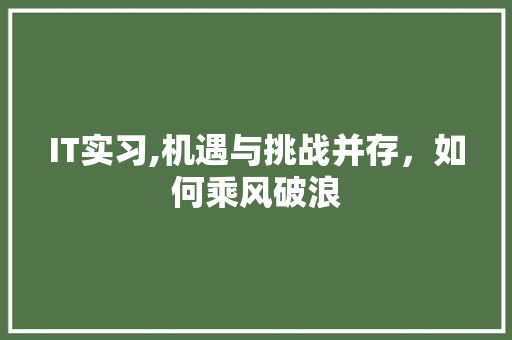 IT实习,机遇与挑战并存，如何乘风破浪 网站开发