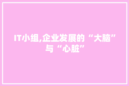 IT小组,企业发展的“大脑”与“心脏” 头条优化