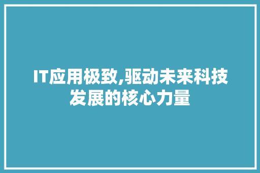 IT应用极致,驱动未来科技发展的核心力量 网站开发