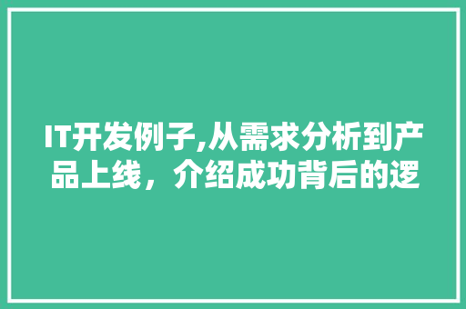 IT开发例子,从需求分析到产品上线，介绍成功背后的逻辑 网站优化