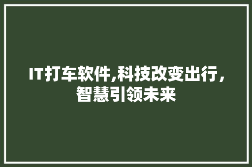 IT打车软件,科技改变出行，智慧引领未来