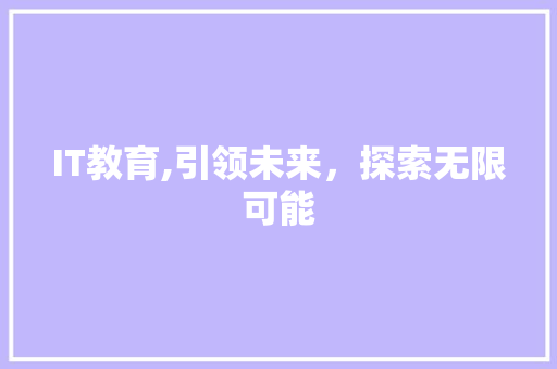 IT教育,引领未来，探索无限可能 网站优化