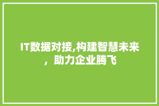 IT数据对接,构建智慧未来，助力企业腾飞