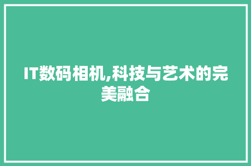 IT数码相机,科技与艺术的完美融合 网站开发