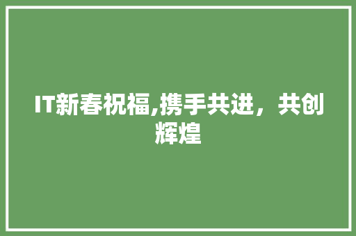 IT新春祝福,携手共进，共创辉煌 网站开发