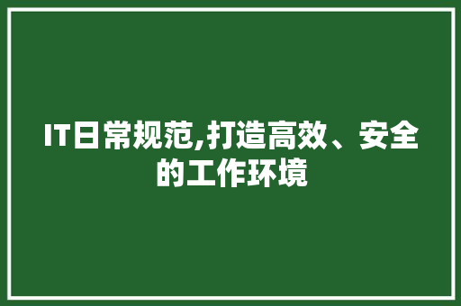 IT日常规范,打造高效、安全的工作环境 网站开发