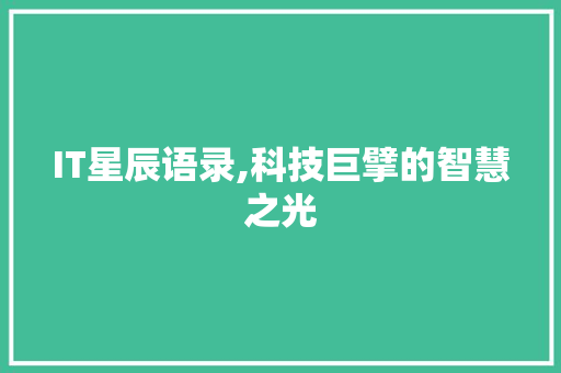 IT星辰语录,科技巨擘的智慧之光 头条优化