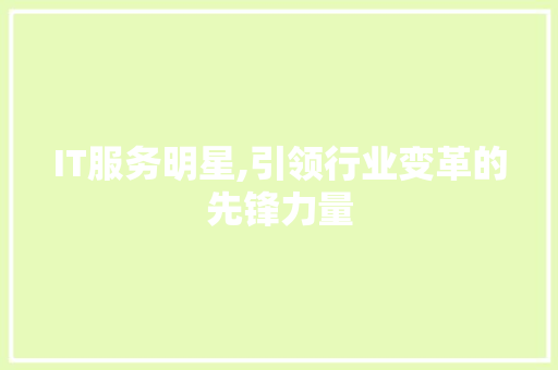 IT服务明星,引领行业变革的先锋力量 头条优化