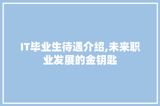IT毕业生待遇介绍,未来职业发展的金钥匙 seo技术