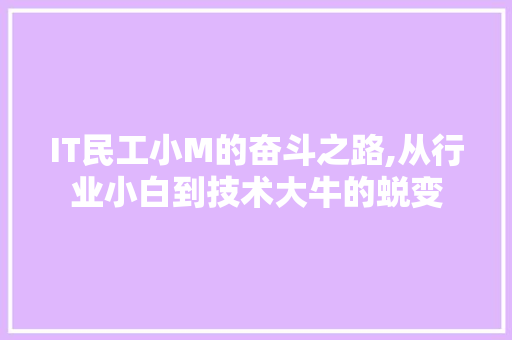 IT民工小M的奋斗之路,从行业小白到技术大牛的蜕变