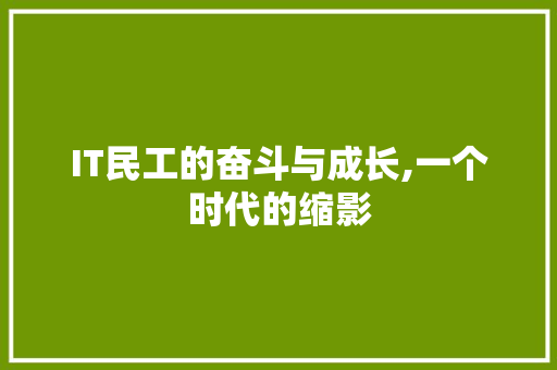 IT民工的奋斗与成长,一个时代的缩影 seo技术