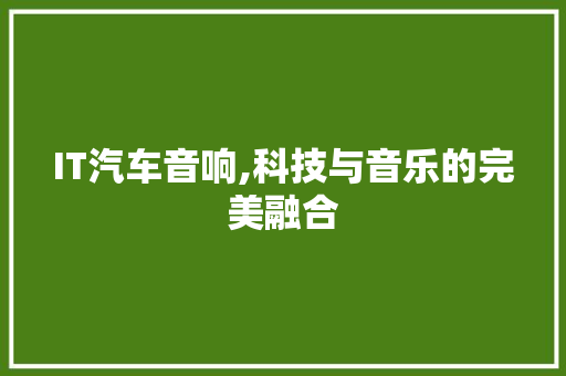 IT汽车音响,科技与音乐的完美融合