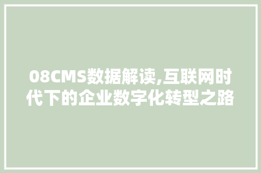 08CMS数据解读,互联网时代下的企业数字化转型之路