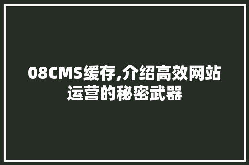 08CMS缓存,介绍高效网站运营的秘密武器