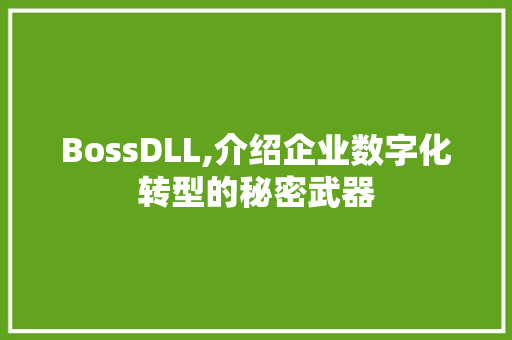 BossDLL,介绍企业数字化转型的秘密武器 AI技术学习