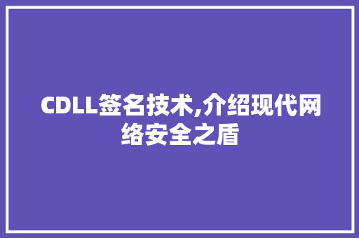 CDLL签名技术,介绍现代网络安全之盾