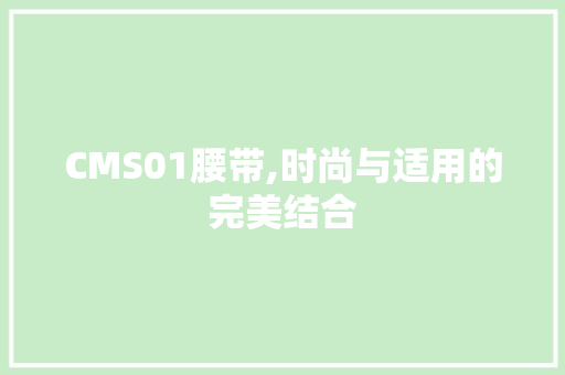 CMS01腰带,时尚与适用的完美结合