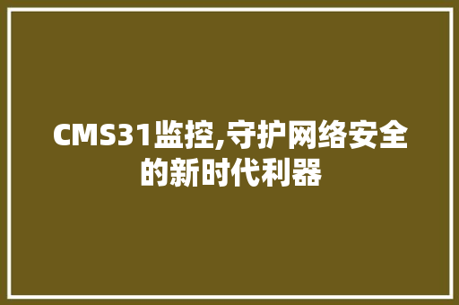 CMS31监控,守护网络安全的新时代利器
