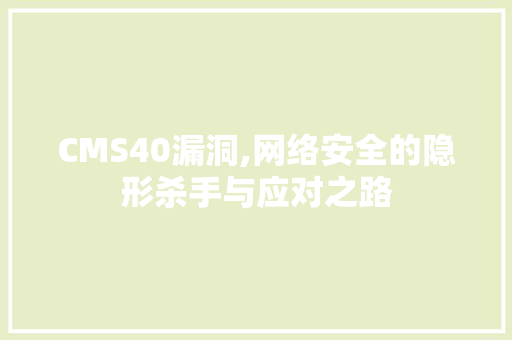 CMS40漏洞,网络安全的隐形杀手与应对之路