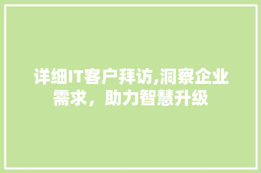 详细IT客户拜访,洞察企业需求，助力智慧升级 网站开发