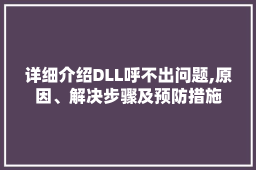 详细介绍DLL呼不出问题,原因、解决步骤及预防措施