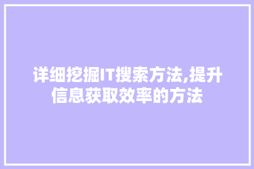 详细挖掘IT搜索方法,提升信息获取效率的方法 网站优化