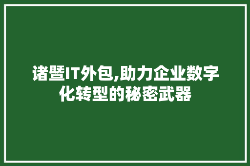 诸暨IT外包,助力企业数字化转型的秘密武器