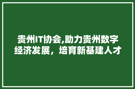 贵州IT协会,助力贵州数字经济发展，培育新基建人才