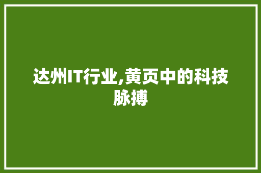 达州IT行业,黄页中的科技脉搏