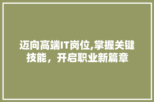 迈向高端IT岗位,掌握关键技能，开启职业新篇章 网站优化