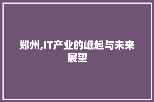 郑州,IT产业的崛起与未来展望 网站优化