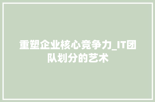 重塑企业核心竞争力_IT团队划分的艺术