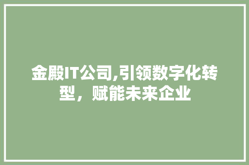 金殿IT公司,引领数字化转型，赋能未来企业 seo技术
