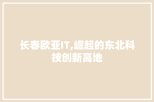 长春欧亚IT,崛起的东北科技创新高地 网站优化