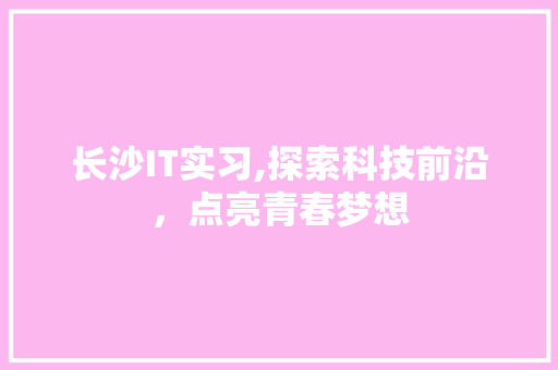 长沙IT实习,探索科技前沿，点亮青春梦想