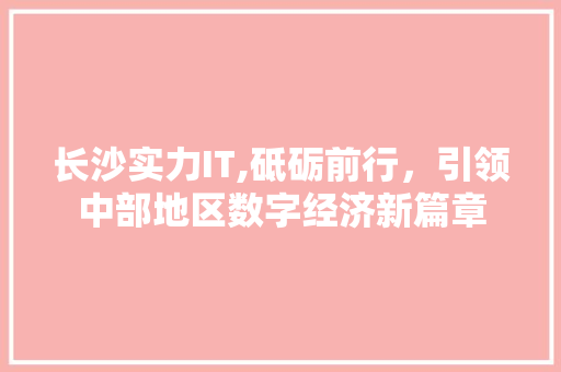 长沙实力IT,砥砺前行，引领中部地区数字经济新篇章