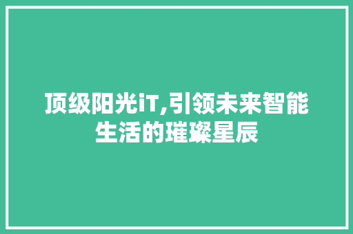 顶级阳光iT,引领未来智能生活的璀璨星辰