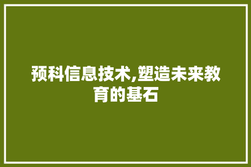 预科信息技术,塑造未来教育的基石 网站开发
