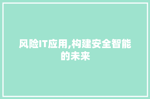 风险IT应用,构建安全智能的未来 seo技术