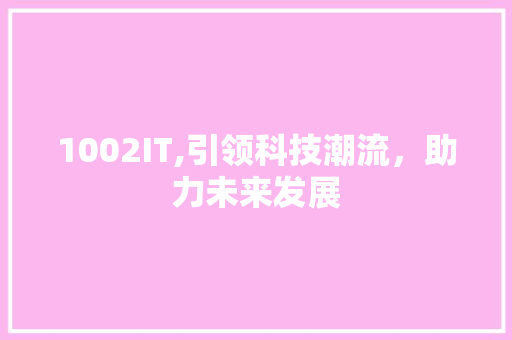 1002IT,引领科技潮流，助力未来发展 seo技术